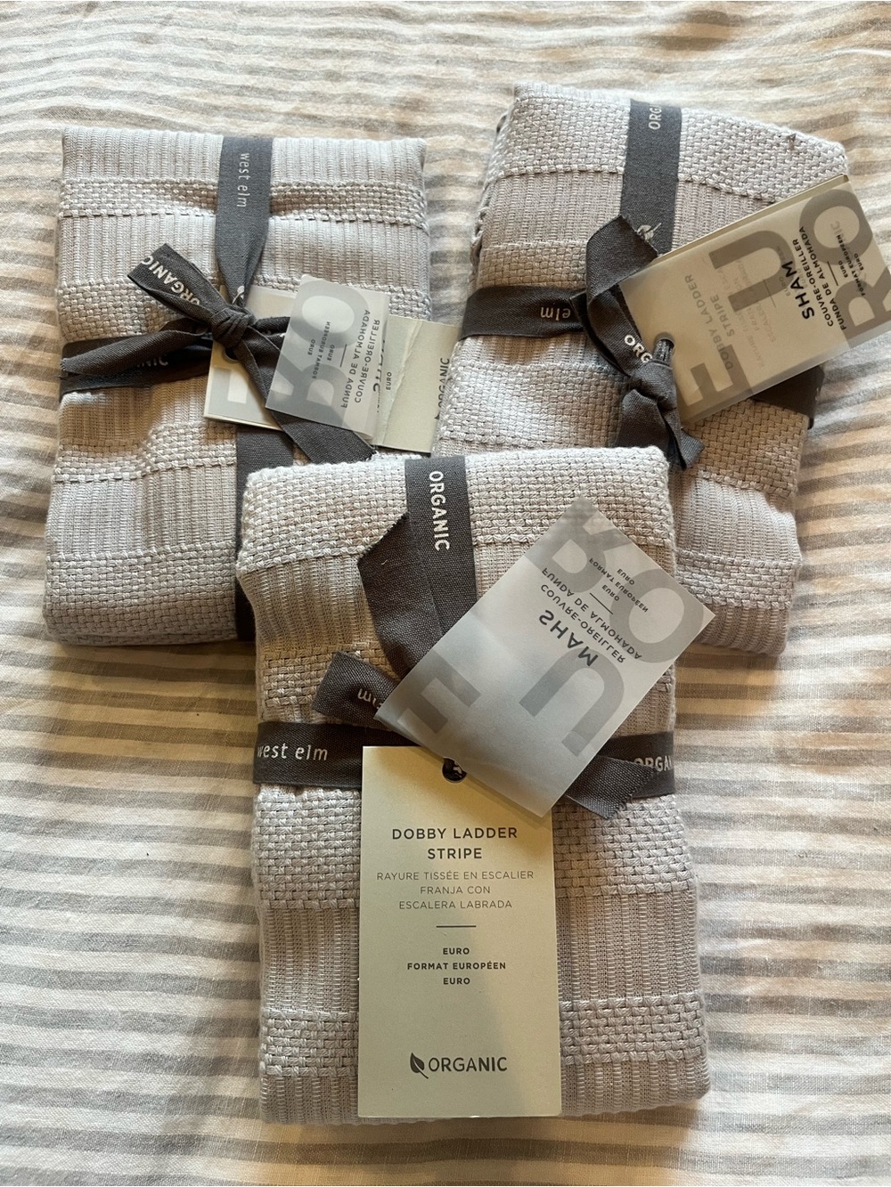 West Elm Dobby Ladder Stripe Euro Sham